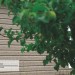 Сайдинг Ю-Пласт TIMBERBLOCK Пихта (Тимберблок) Cахалинская купить в Севастополе