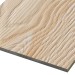 Фиброцементные панели FCSPRO Decor Wood Лиственница купить в Севастополе